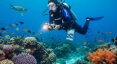 buy online flight ticket - Best Scuba Diving Locations for Underwater Exploration